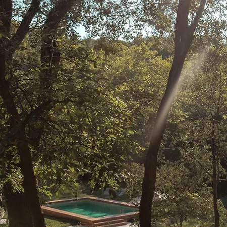 Bed & Breakfast Paratgea 3*
