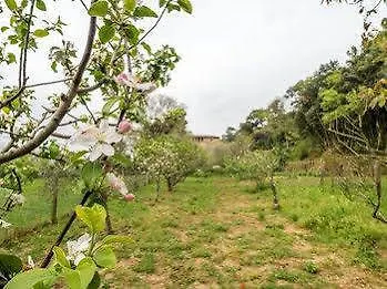Bed & Breakfast Paratgea 3*